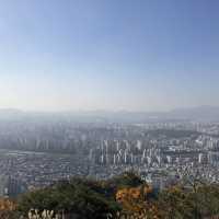 서울 근교 피크닉 ✨ 용마산, 아차산 등산기!