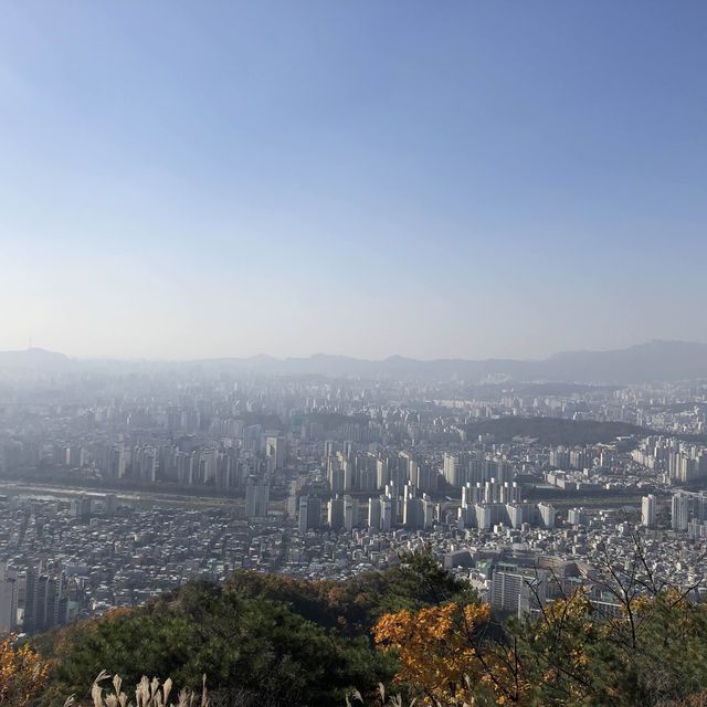 서울 근교 피크닉 ✨ 용마산, 아차산 등산기!