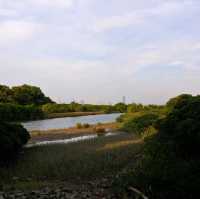 👣We we 娃嘩@Wetland 濕地公園遊🐊