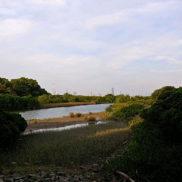 👣We we 娃嘩@Wetland 濕地公園遊🐊