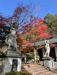 【福岡】天王院の紅葉