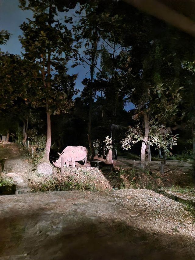 Night safari at Chiangmai