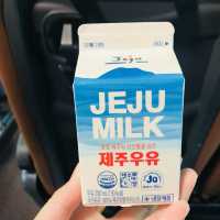 겨울 제주도 여행(사실상 먹으러 간..) 