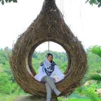 Bali Swing with beautiful scenery