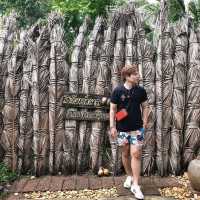 โครงการอัมพวาชัยพัฒนานุรักษ์🌿🌳  