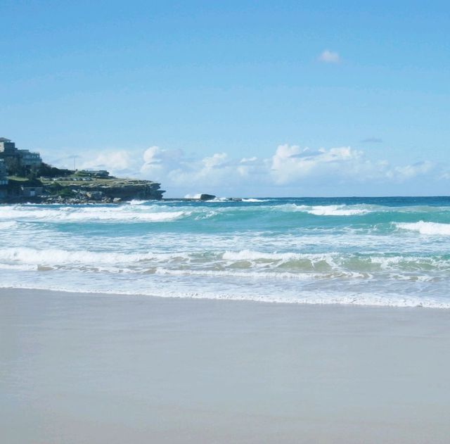 시드니 도심속 힐링스팟 본다이비치 🏖 