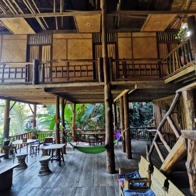 บ้านต้นไม้ แม่แมะ