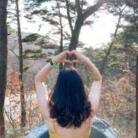 겨울에는 제천 포레스트 리솜 해브나인 스파에서 뜨끈하게 힐링♨️