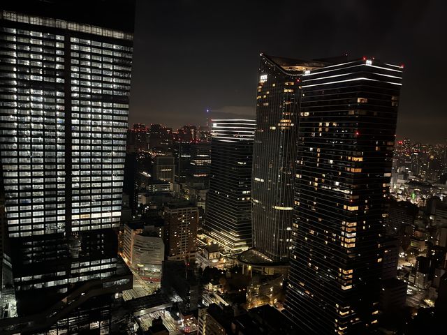 ラグジュアリーホテルでホテルステイ