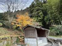 【福岡】若杉山麓にある立ち寄り湯