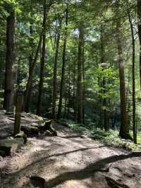Cedar Falls in Hocking Hills