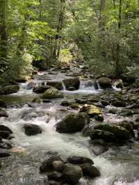 Roaring Fork Motor Natural Trail