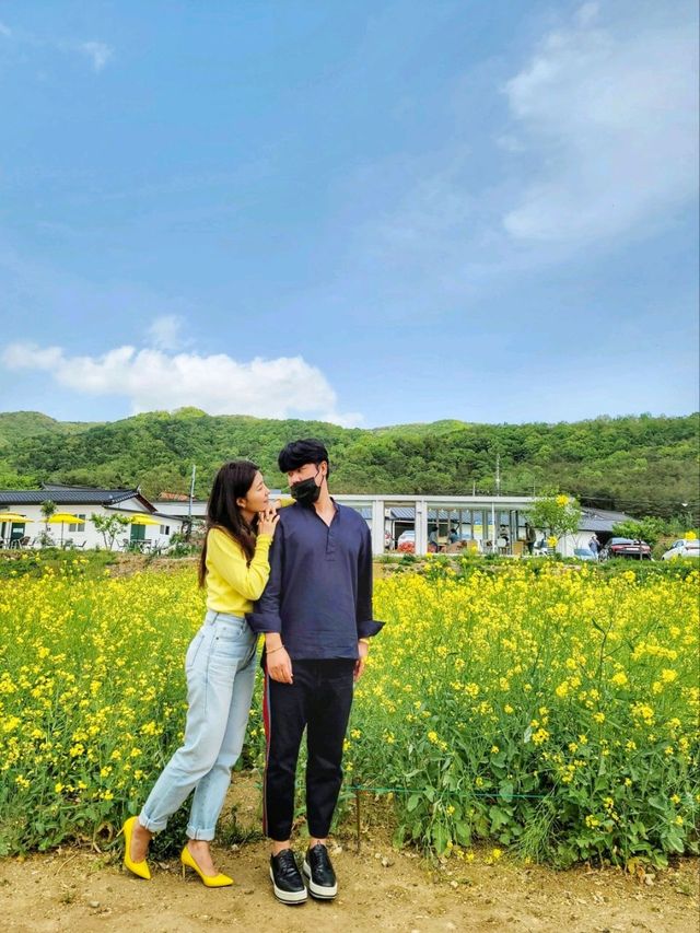 경주 바실라 카페, 계절마다 예쁜꽃이 피는 뷰좋은 한옥카페🤎