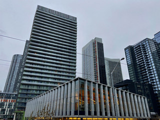 Toronto Public Library Fort York Version