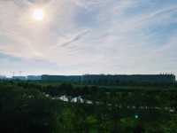 Lingang quest - Wetlands