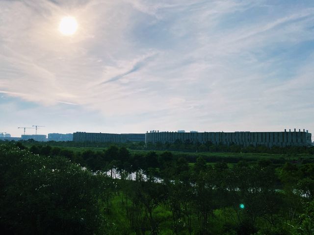 Lingang quest - Wetlands