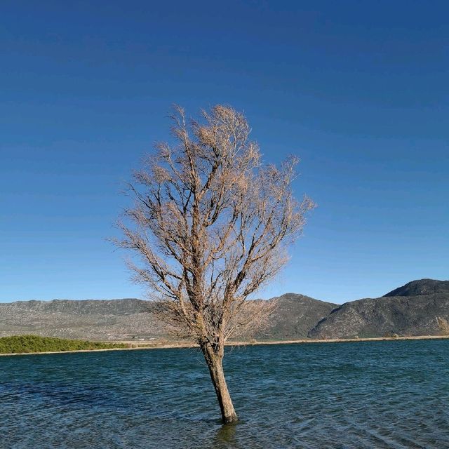 Longnv Lake(龙女湖)| Solitude and Beauty