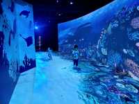 [親子好去處]港版teamlab~