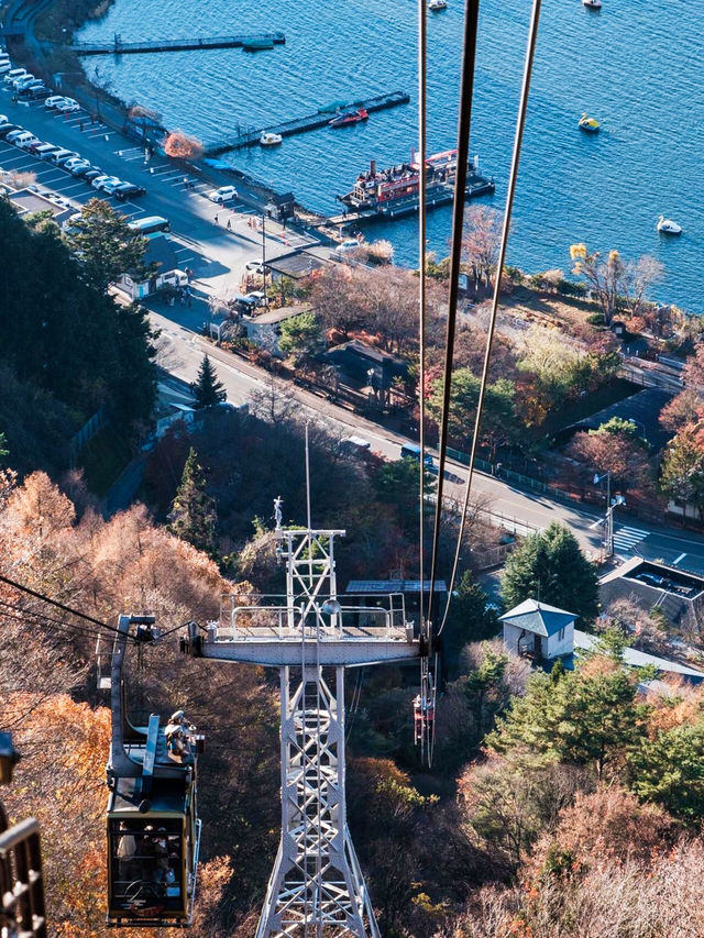 So romantic‼️Departing from Tokyo | One-day tour to enjoy cherry blossoms at Mount Fuji.