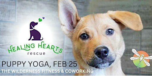 Puppy Yoga with Healing Hearts Rescue @ The Wilderness Fitness & Coworking | The Wilderness Fitness and Coworking