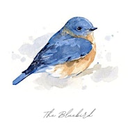 The Bluebird Album Premiere | The Honeycomb