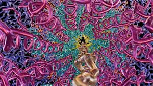 The Imagination Equation Gallery Talk | Haggerty Museum of Art
