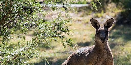 Churchill Park Walk | Churchill National Park