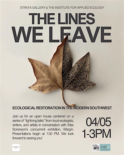 The Lines We Leave | Strata Gallery