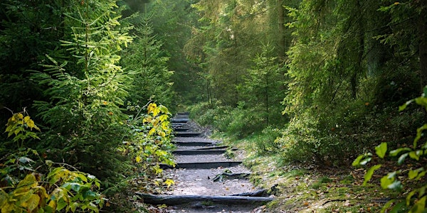 A Path of Peace – An Insight Meditation Retreat with Zohar Lavie | Whirlow Spirituality Centre