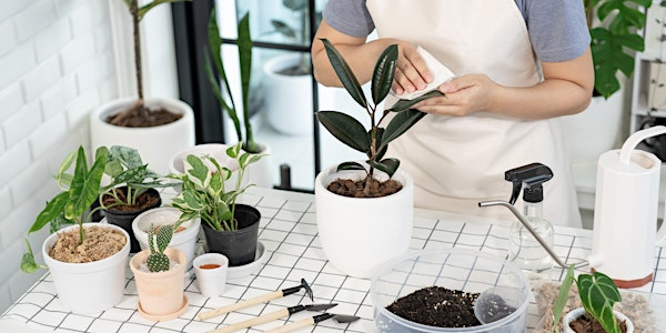 Houseplant 101 Workshop | 403 Augusta St