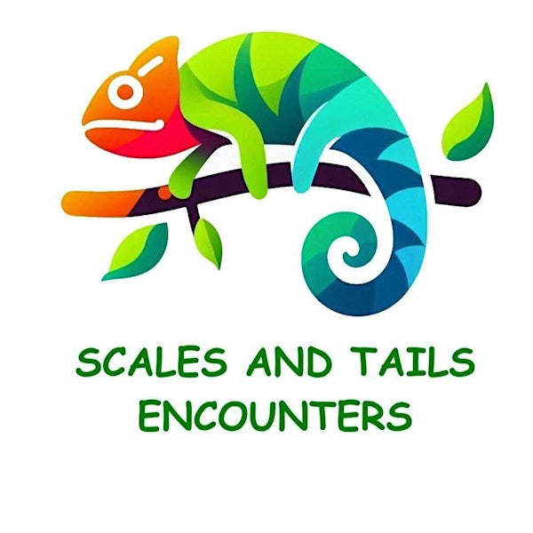 Scales & Tails Reptile Encounter FROME | The Frome & District Club & Institute