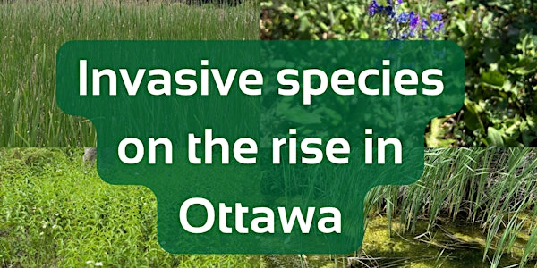 Ottawa Invasive Species Community Dialogue Event - Sept 3rd | Jim Durrell Recreation Centre