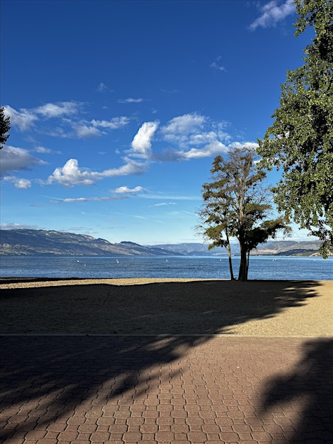 Autumn Strolls - November | Boyce-Gyro Beach Park