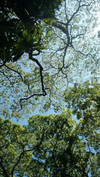 Yvette小誌