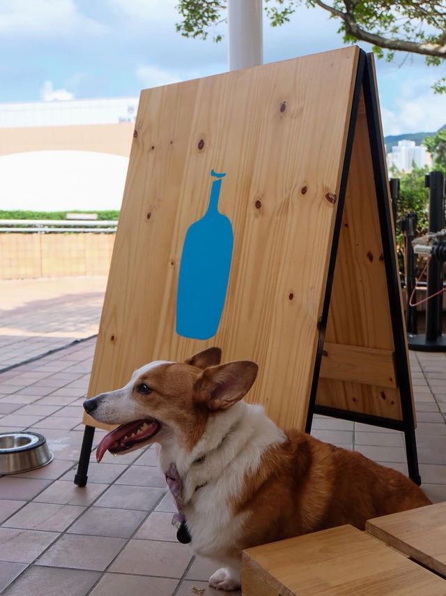 Blue Bottle沙田限定咖啡店