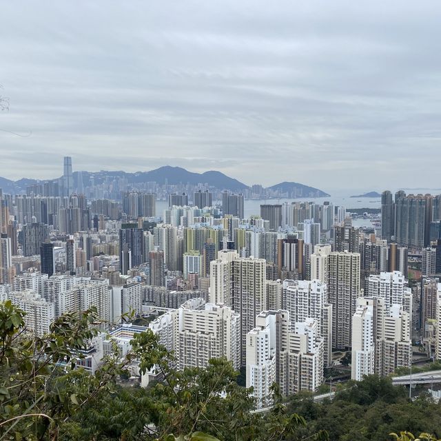 馬騮聚集聖地 （金山郊野公園）
