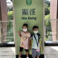 Hin Tin Playground  