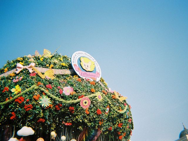 필름카메라로 담은 에버랜드 🎠