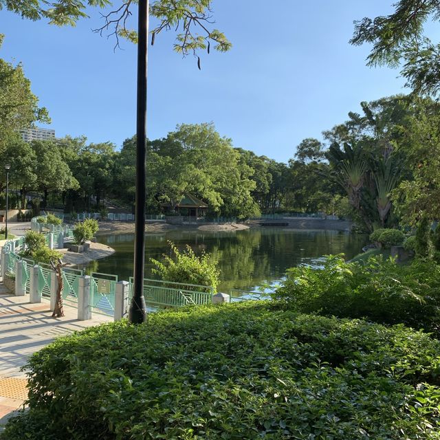屯門公園隱秘高質爬蟲館 屯門公園隱秘高質爬蟲館