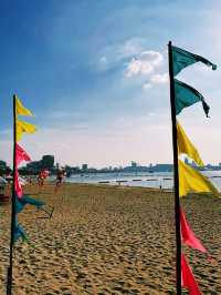 Flying kites in Pattaya