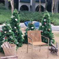 Rabbit Cafe คาเฟ่น่ารักเขาใหญ่ 