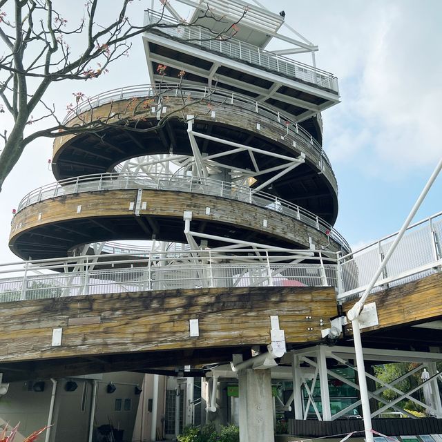 賞花攻略 大埔海濱公園