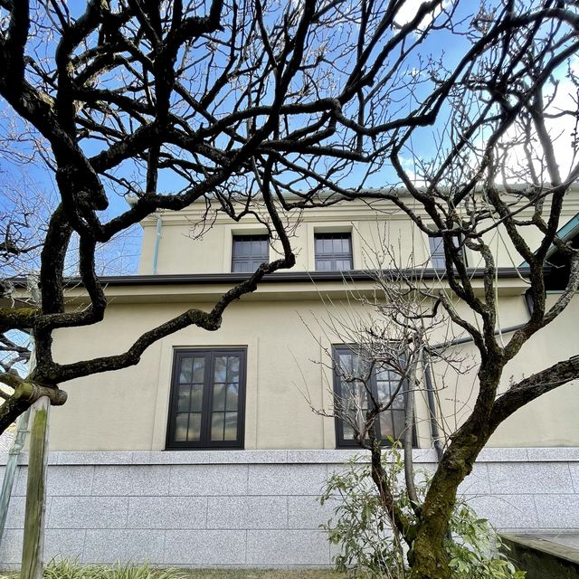 泉岳寺の梅