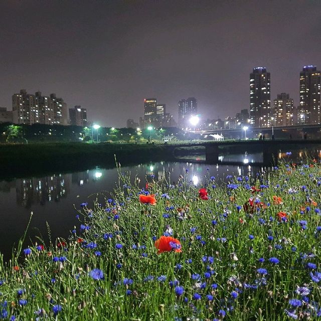철쭉 한가득 핀 목동의 야경