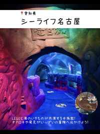 雨の日に行きたい！水族館7選
