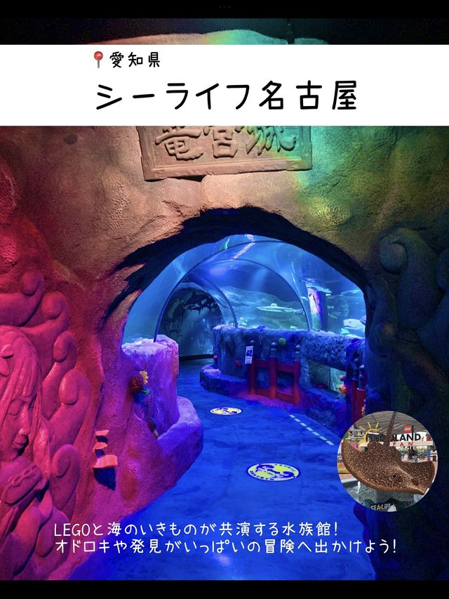 雨の日に行きたい！水族館7選