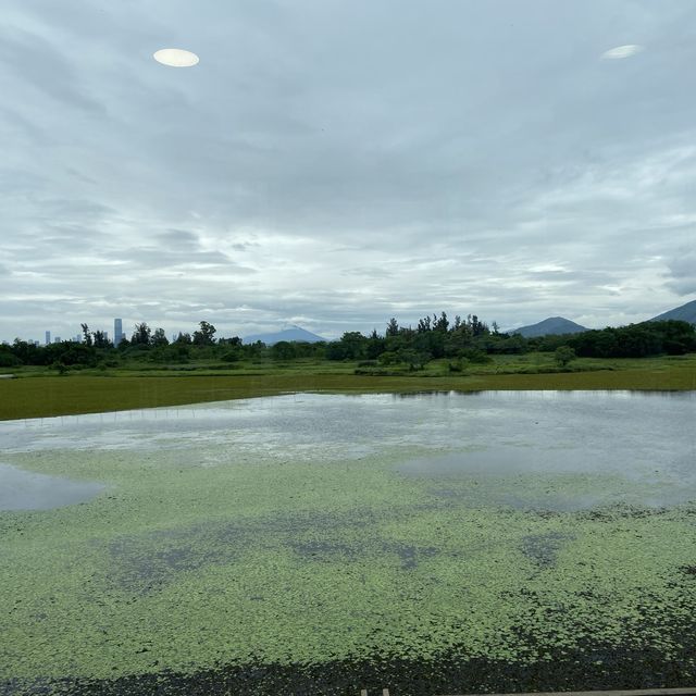 來一趟親子濕地探索之旅