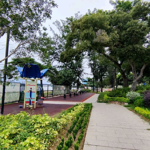 圍封多時，休養生息後的公園及海灘