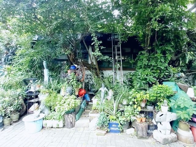 牛棚藝術村
