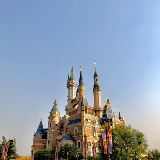 Have you ever been to Disney Resort? 